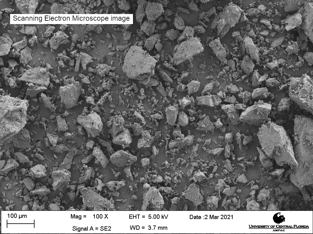 Scanning electron microscope image of LHS-1, magnification 100X