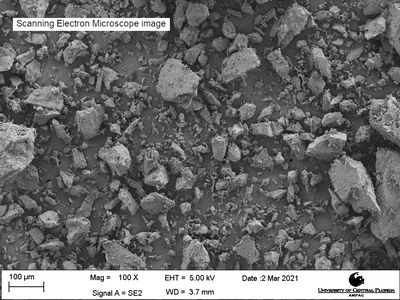 Scanning electron microscope image of LHS-1, magnification 100X