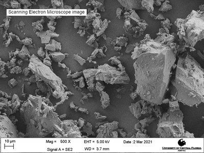 Scanning electron microscope image of LHS-1, magnification 500X