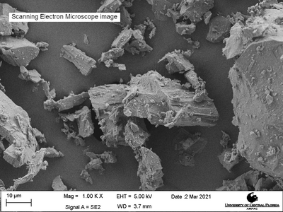 Scanning electron microscope image of LHS-1, magnification 1000X