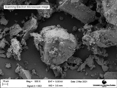 Scanning electron microscope image of LMS-1, magnification 500X